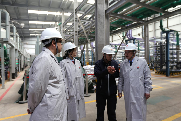 稅務服務賦新能，創新驅動贏未來——資源再生利用技術研發的機遇與路徑